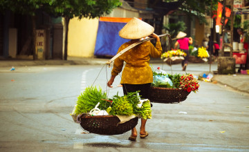 Flower Seller II Hanoi