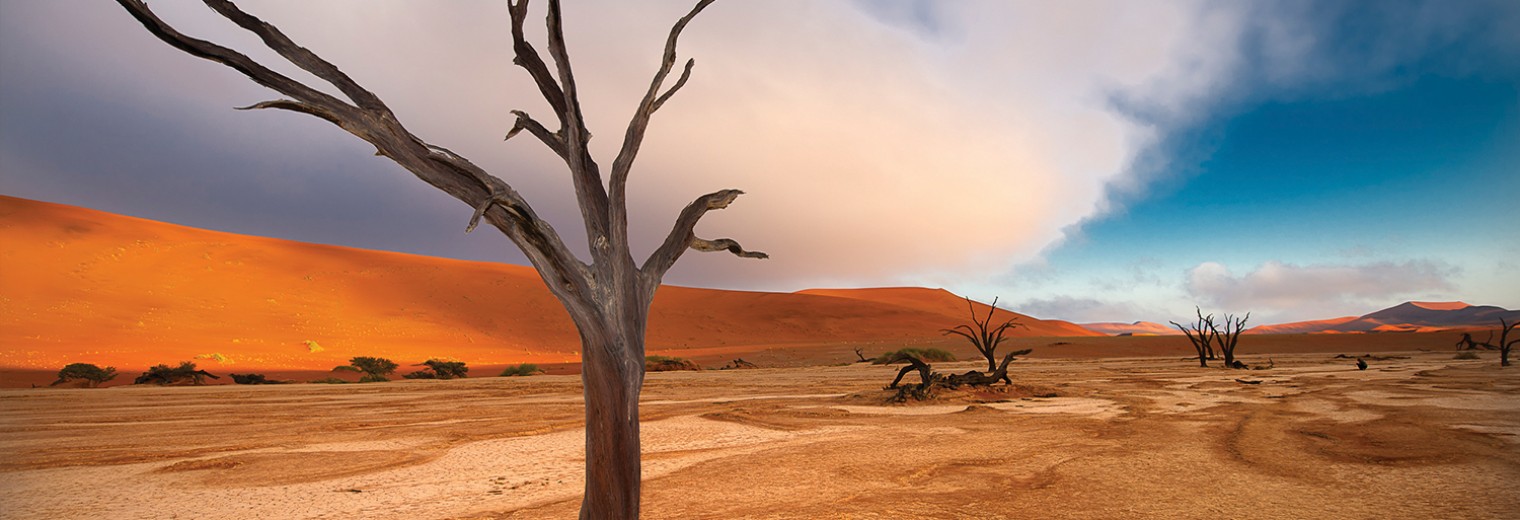 Deadvlei, Sossusvlei, Namibia