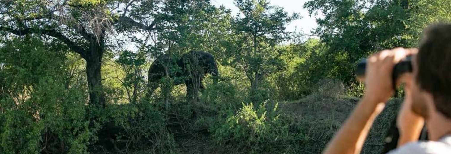 Sunset Cruise, Zambezi, Victoria Falls