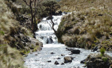 Cajas National Park, Cuenca, Ecuador