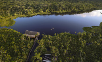Sacha Lodge, Amazon Jungle, Ecuador