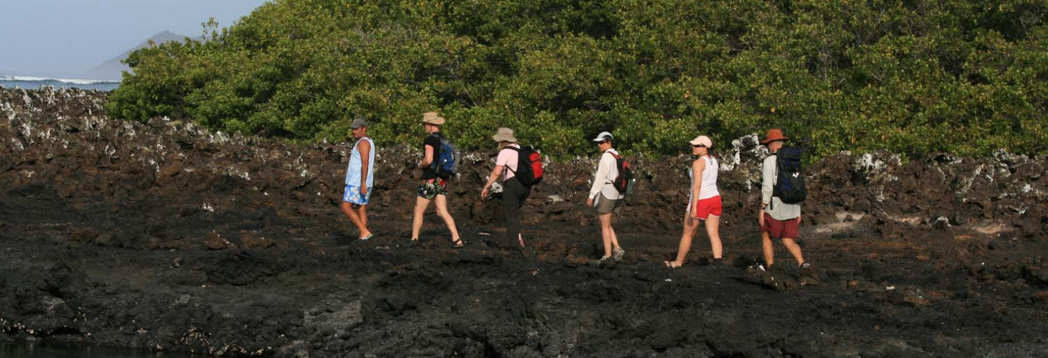 Isabela Island, Galapagos Islands