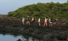 Isabela Island, Galapagos Islands