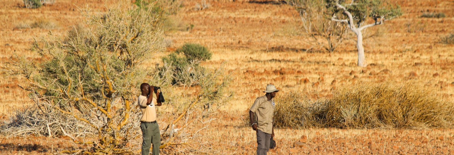 Rhino tracking, Damaraland, Namibia