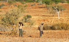 Rhino tracking, Damaraland, Namibia
