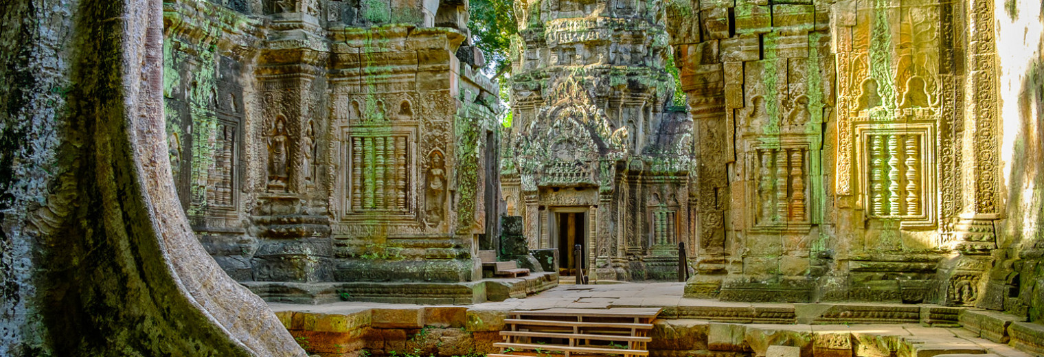 Ta Prohm Temple, Angkor