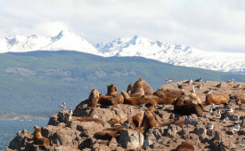 Beagle Channel, Tierra del Fuego, Argentina