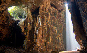 Gomantong Cave