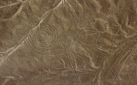 Monkey, Nazca lines, Peru