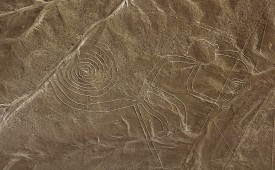 Monkey, Nazca lines, Peru