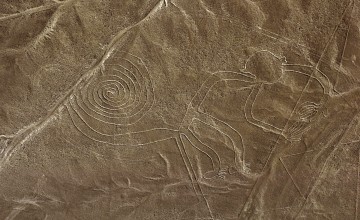 Monkey, Nazca lines, Peru