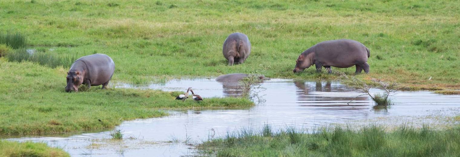 Lake Nakuru, Kenya