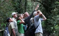 Wildlife spotting, Amazon Jungle, Ecuador