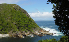Tsitsikamma National Park, South Africa
