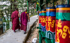 Tibetan Monks Dharamshala