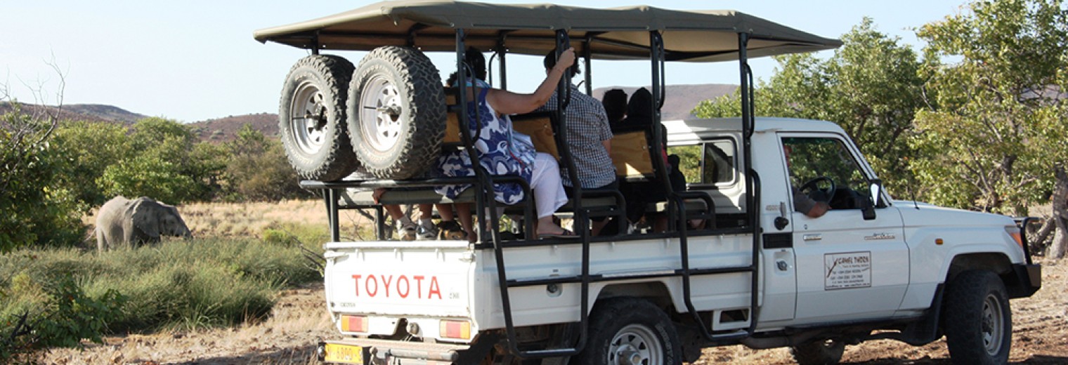 Game drive, Palmwag, Damaraland, Namibia