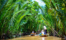 Mekong Delta