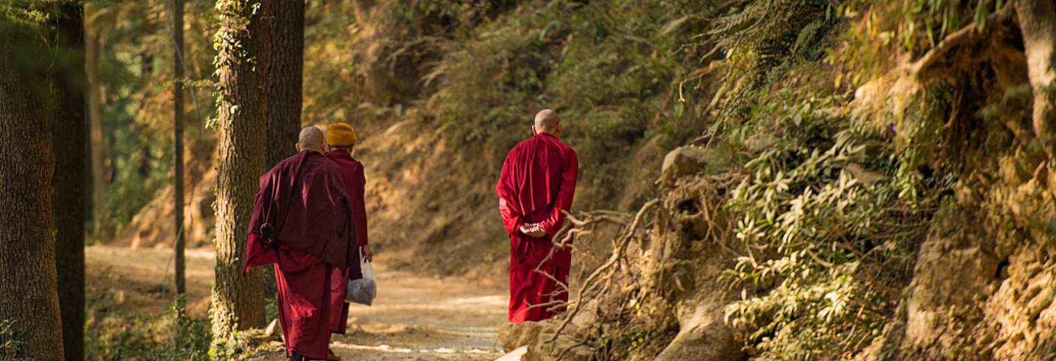 Tibetan Monks on Trail, Dharamshala