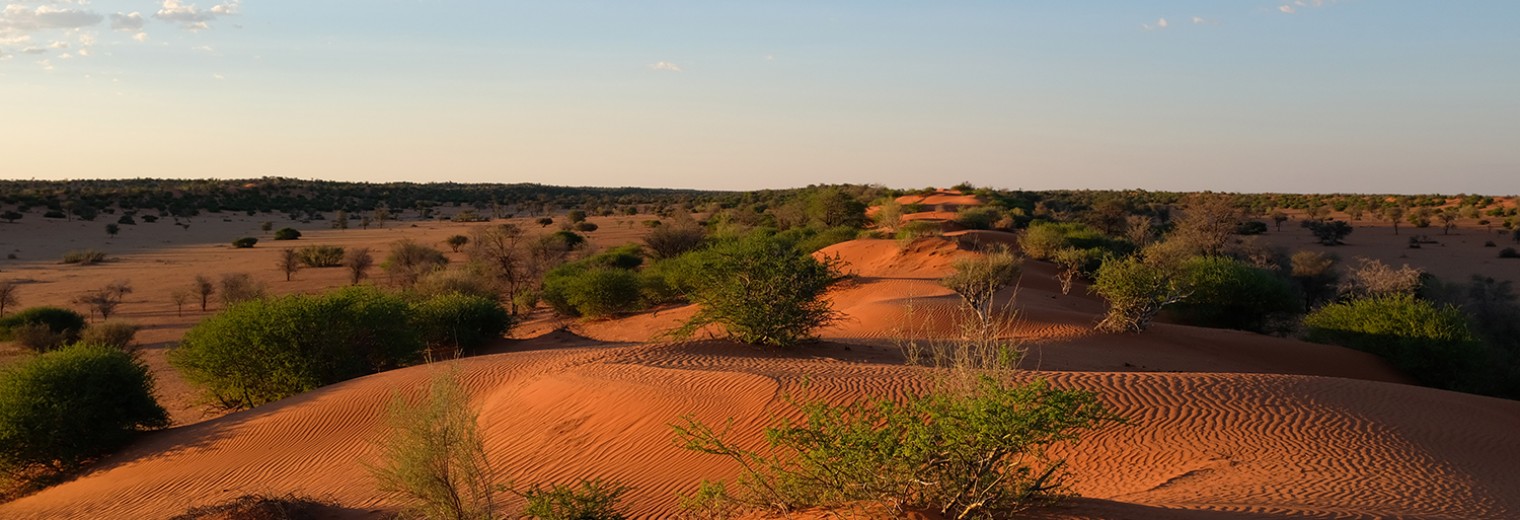 Kalahari, Namibia