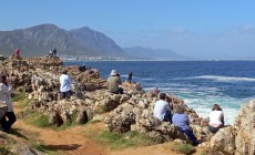 Whale watching, Hermanus, South Africa