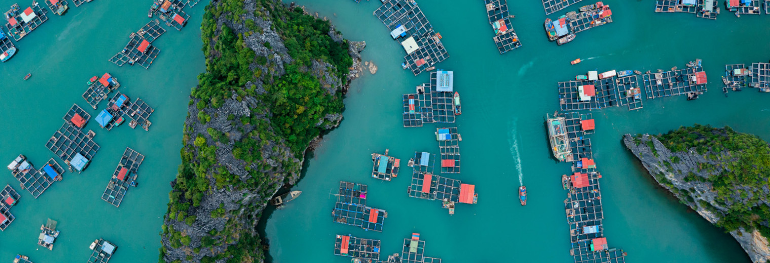 Cat Ba Island Fishing Village