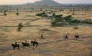 Rohet, India