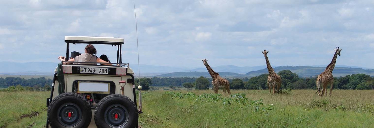 Game drive, Kenya
