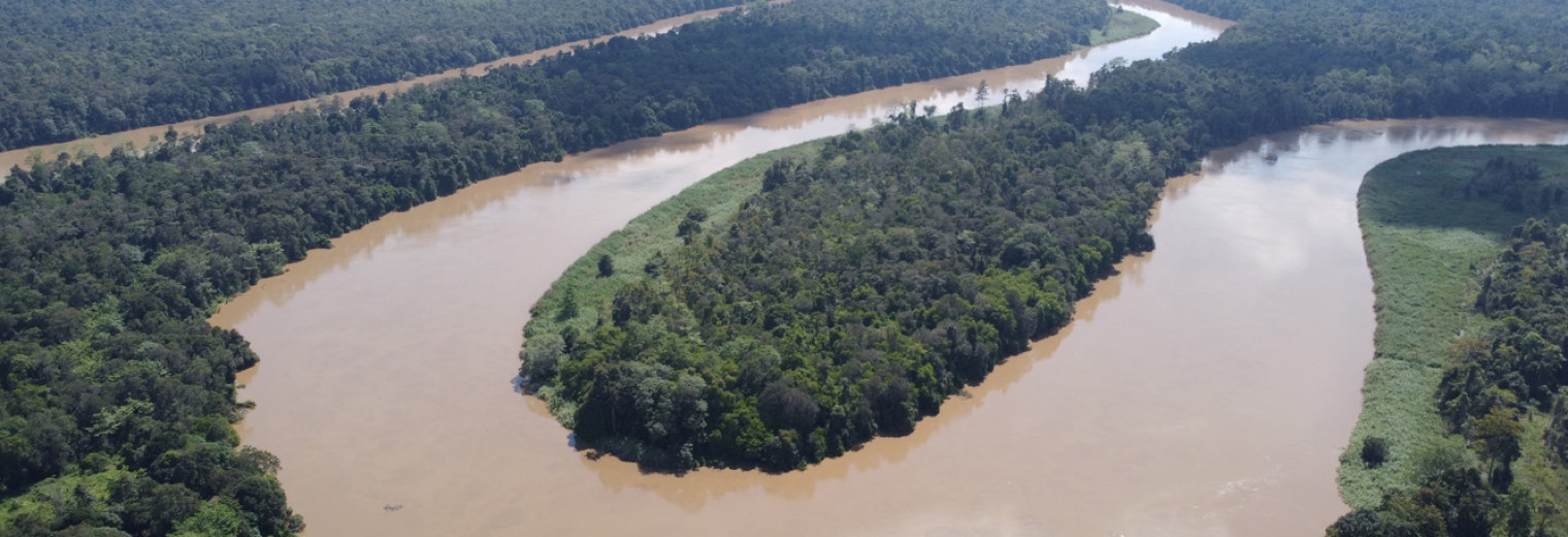 Kinabatangan River, Borneo