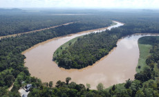 Kinabatangan River, Borneo