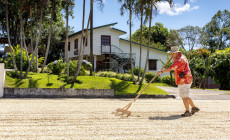 Doka Plantation, San Jose, Costa Rica