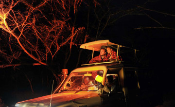 Night game drive, Ol Pejeta Conservancy, Kenya