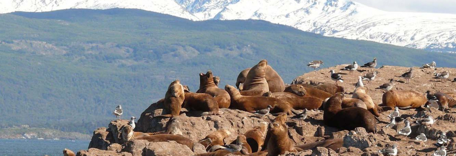 Tierra del Fuego, Patagonia, Argentina