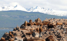 Tierra del Fuego, Patagonia, Argentina