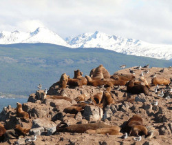 Tierra del Fuego, Patagonia, Argentina