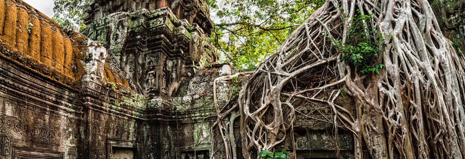 Monk in Ta Prohm, Angkor Wat