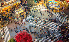 Shibuya Crossing, Tokyo