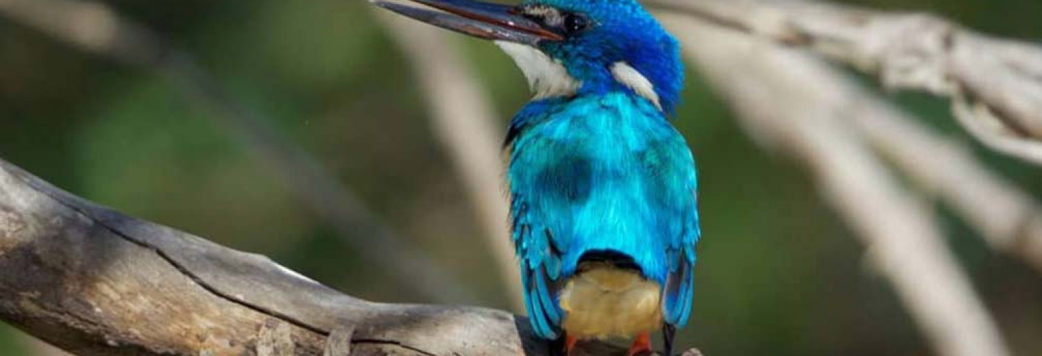 Sunset Cruise, Zambezi, Victoria Falls