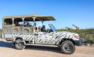 Etosha Game Drive Vehicle