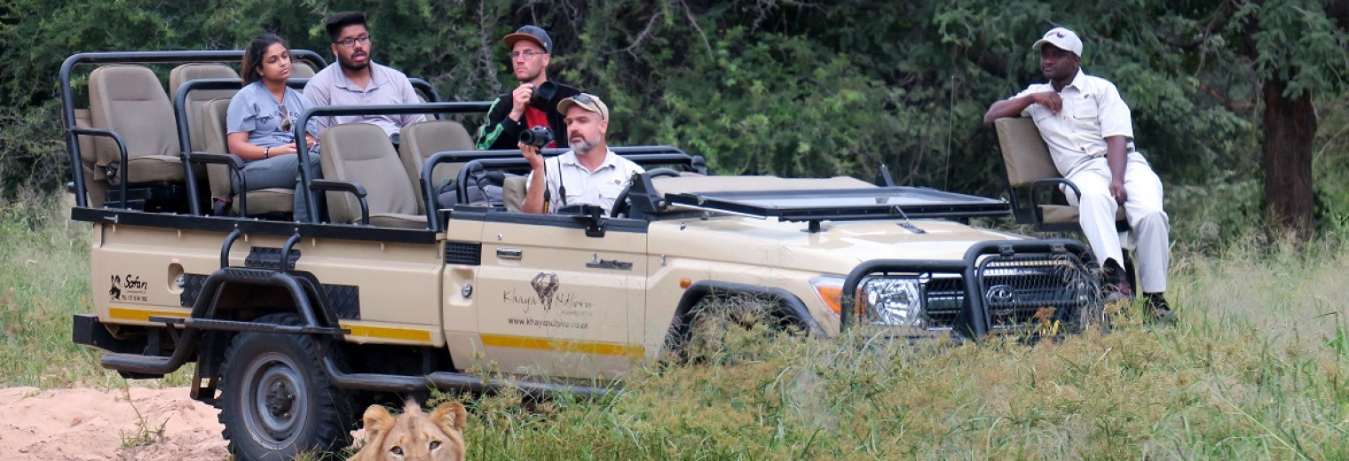 Lion, Khaya Ndlovu, Kruger