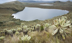 Cajas National Park, Cuenca, Ecuador