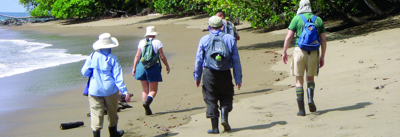 Corcovado coast, Costa Rica