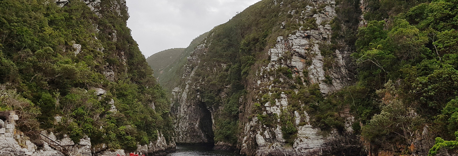 Hanging bridges, Storms River, Tsitsikamma