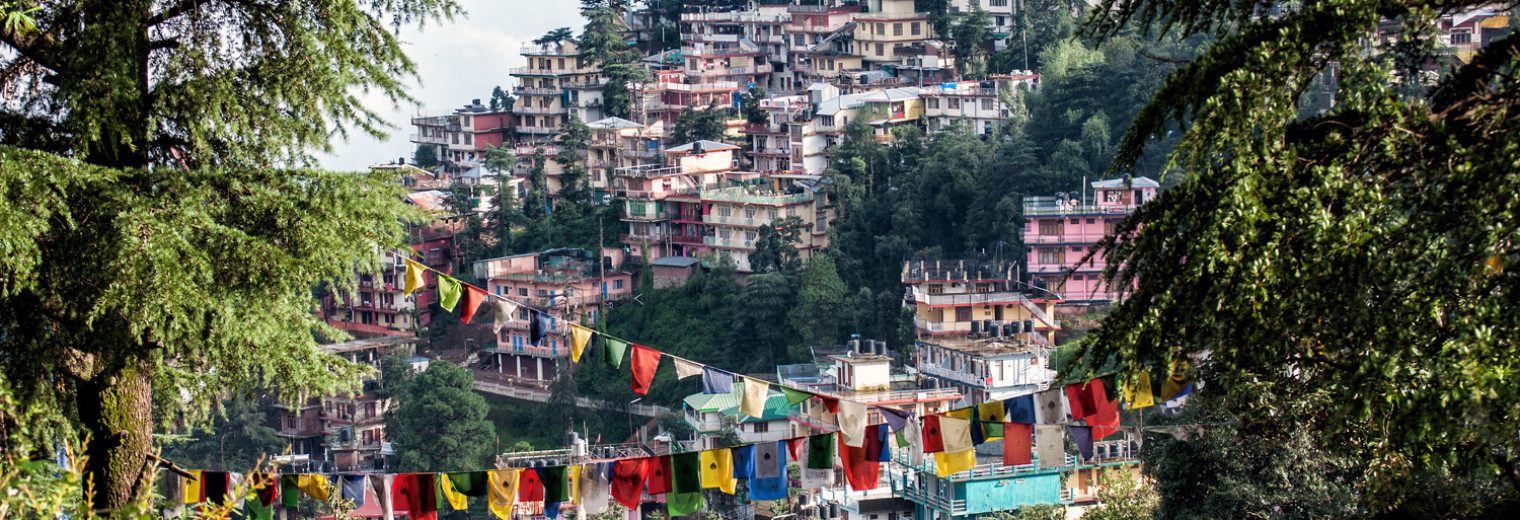 Dharamshala Hillside