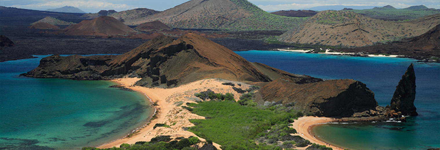 Bartolome, Galapagos, Llama Travel