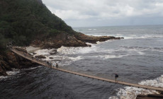 Tsitsikamma National Park, Garden Route, South Africa