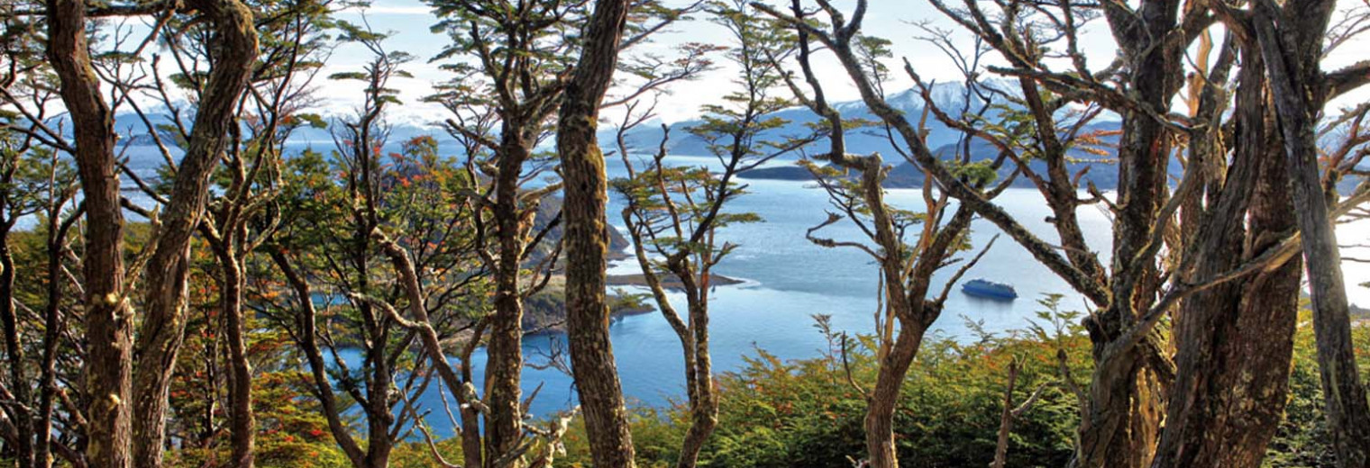 Tierra del Fuego, Patagonia, Argentina