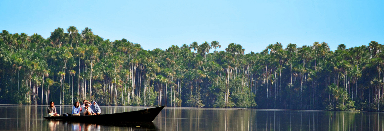 Amazon boat ride, Peru