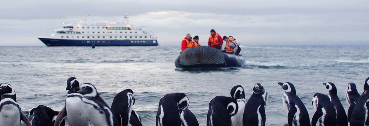 Cape Horn Cruise Wildlife, Patagonia, Chile