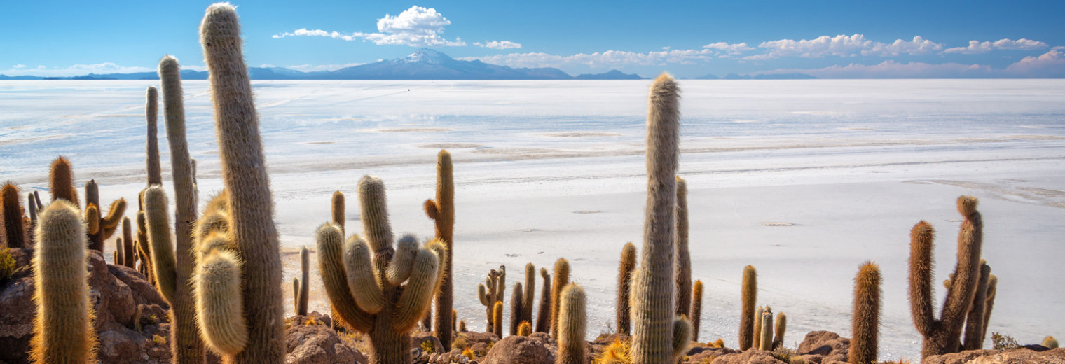 Uyuni salt flats, Bolivia
