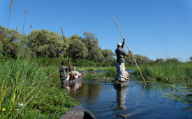 Mokoro, Okavango, Botswana